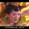 浏览这些图片